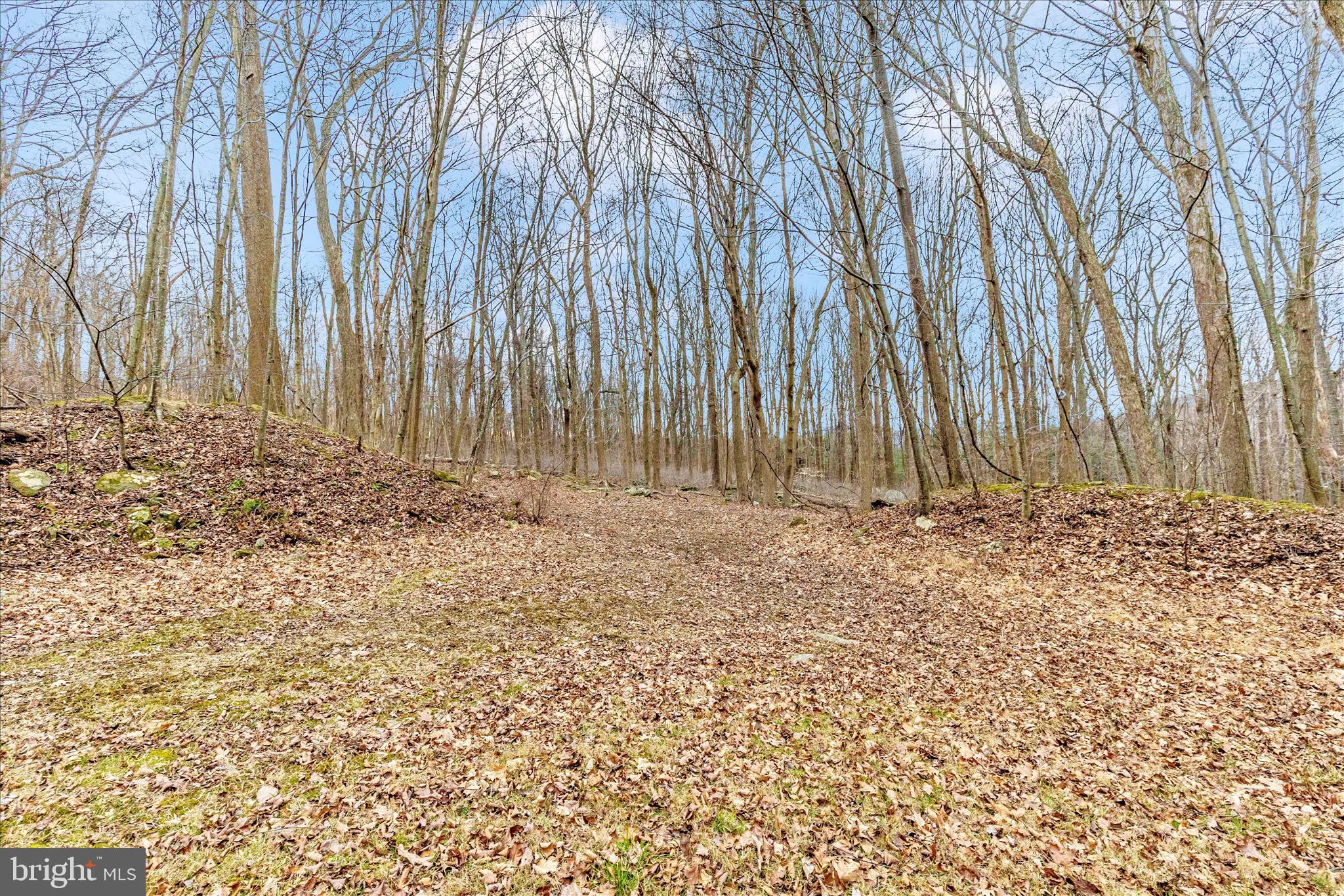 24607 Hells Delight Road Smithsburg, MD 21783 - Photo 47 of 47 a view of wooden fence