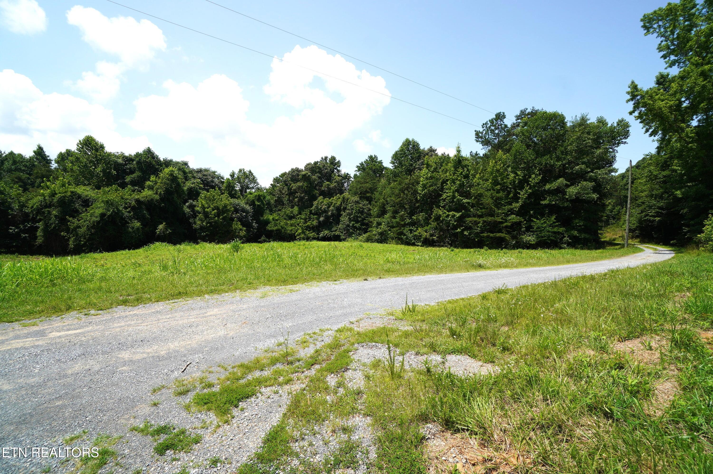 0 Rhyne Camp Road Newport, TN 37821 - Photo 6 of 19 camp rhyne rd (6)