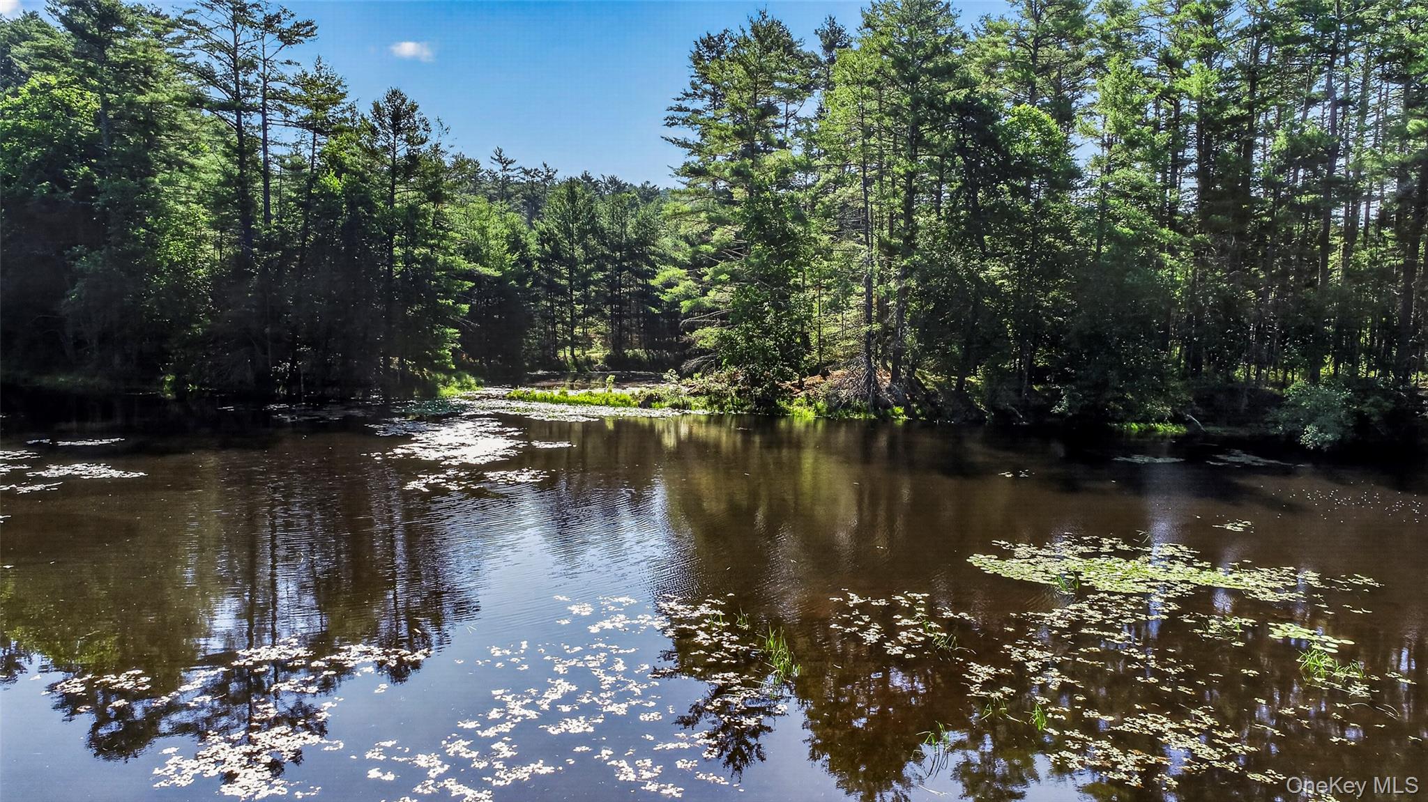 80 Beaver Brook Road Narrowsburg, NY 12764 - Photo 28 of 30