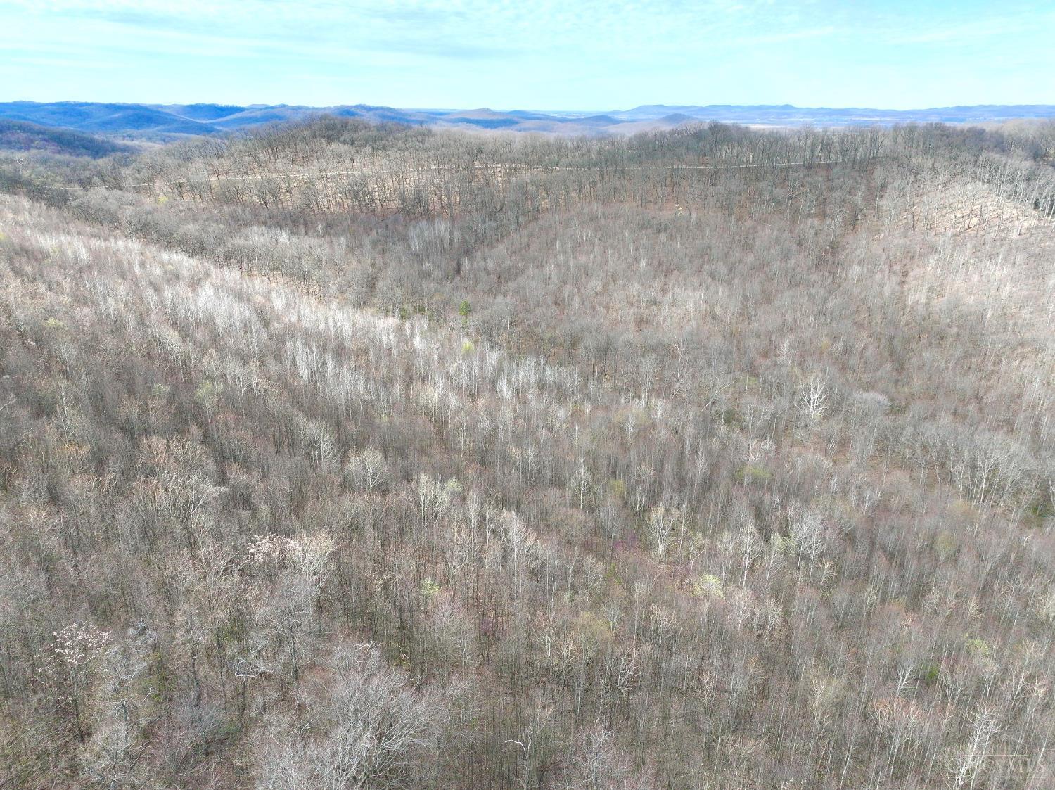 0 Fyffe Hollow Road Chillicothe, OH 45601 - Photo 38 of 96