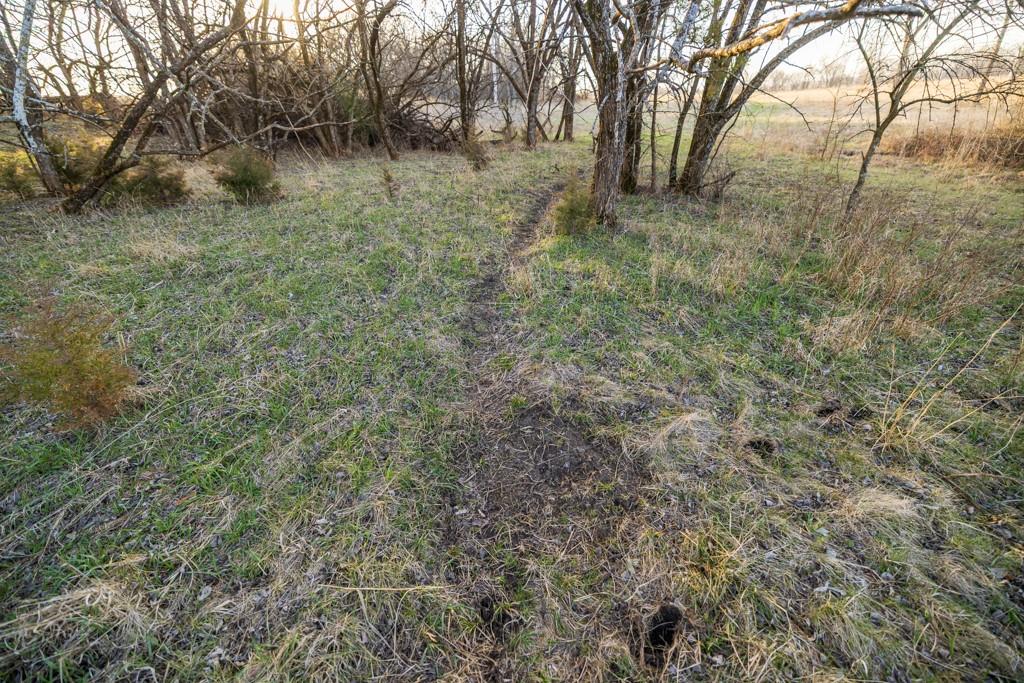 0 East 335th Street Archie, MO 64725 - Photo 12 of 40