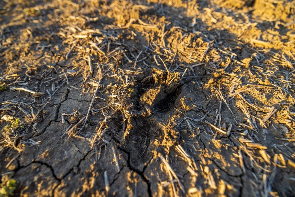 0 East 335th Street Archie, MO 64725 - Photo 20 of 40