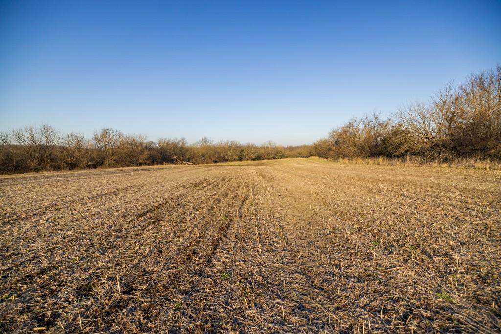 0 East 335th Street Archie, MO 64725 - Photo 4 of 40