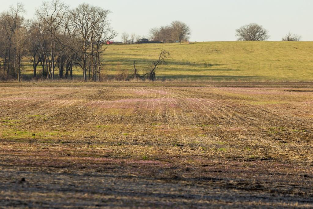 0 East 335th Street Archie, MO 64725 - Photo 5 of 40