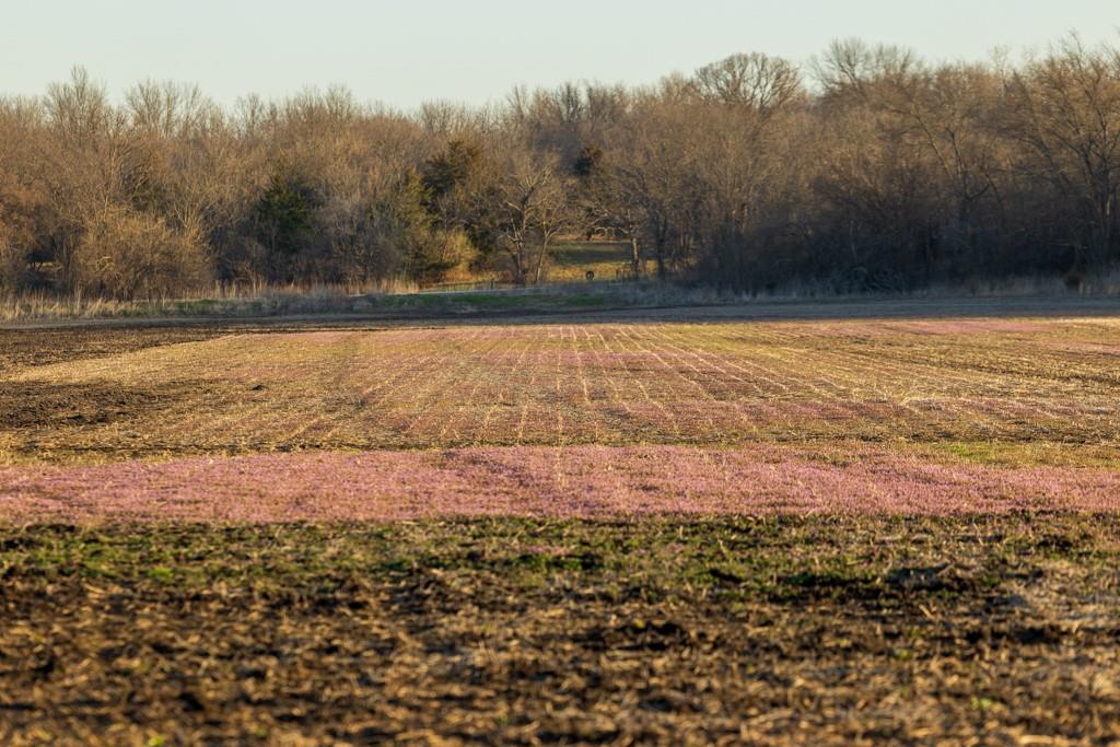 0 East 335th Street Archie, MO 64725 - Photo 6 of 40