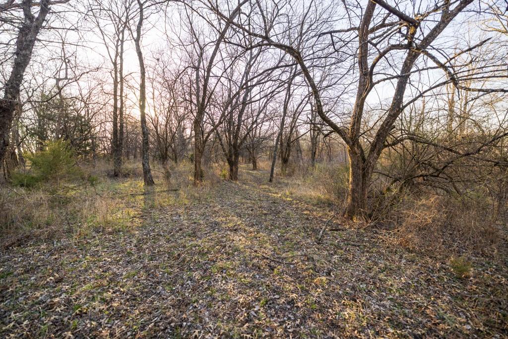 0 East 335th Street Archie, MO 64725 - Photo 8 of 40