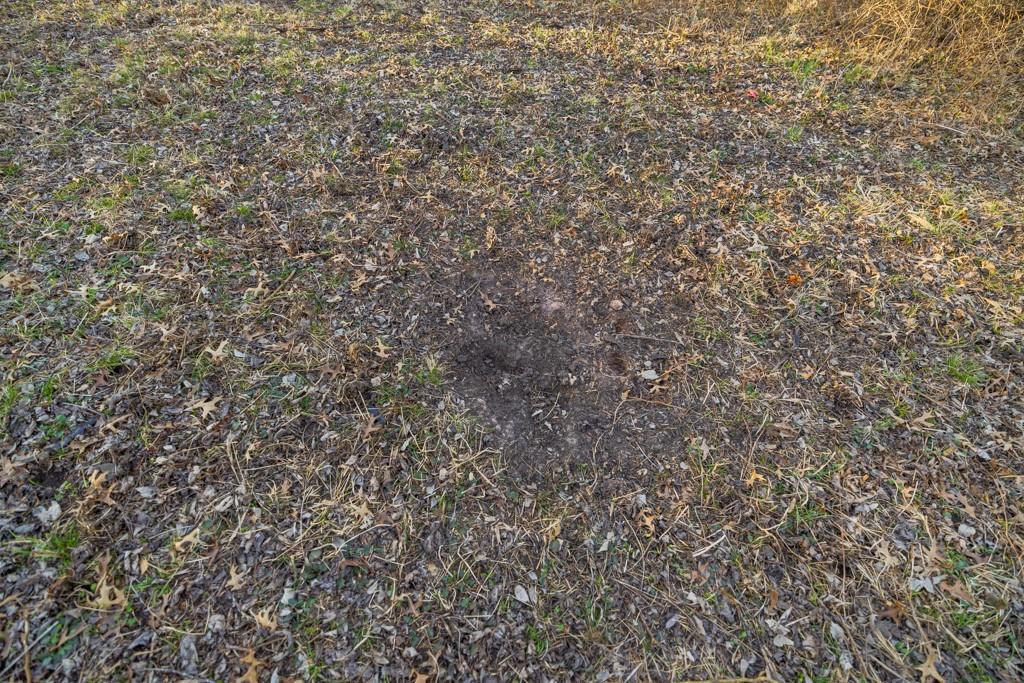 0 East 335th Street Archie, MO 64725 - Photo 9 of 40