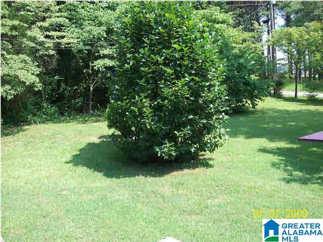 33 Bent Tree Drive Hayden, AL 35079 - Photo 6 of 20