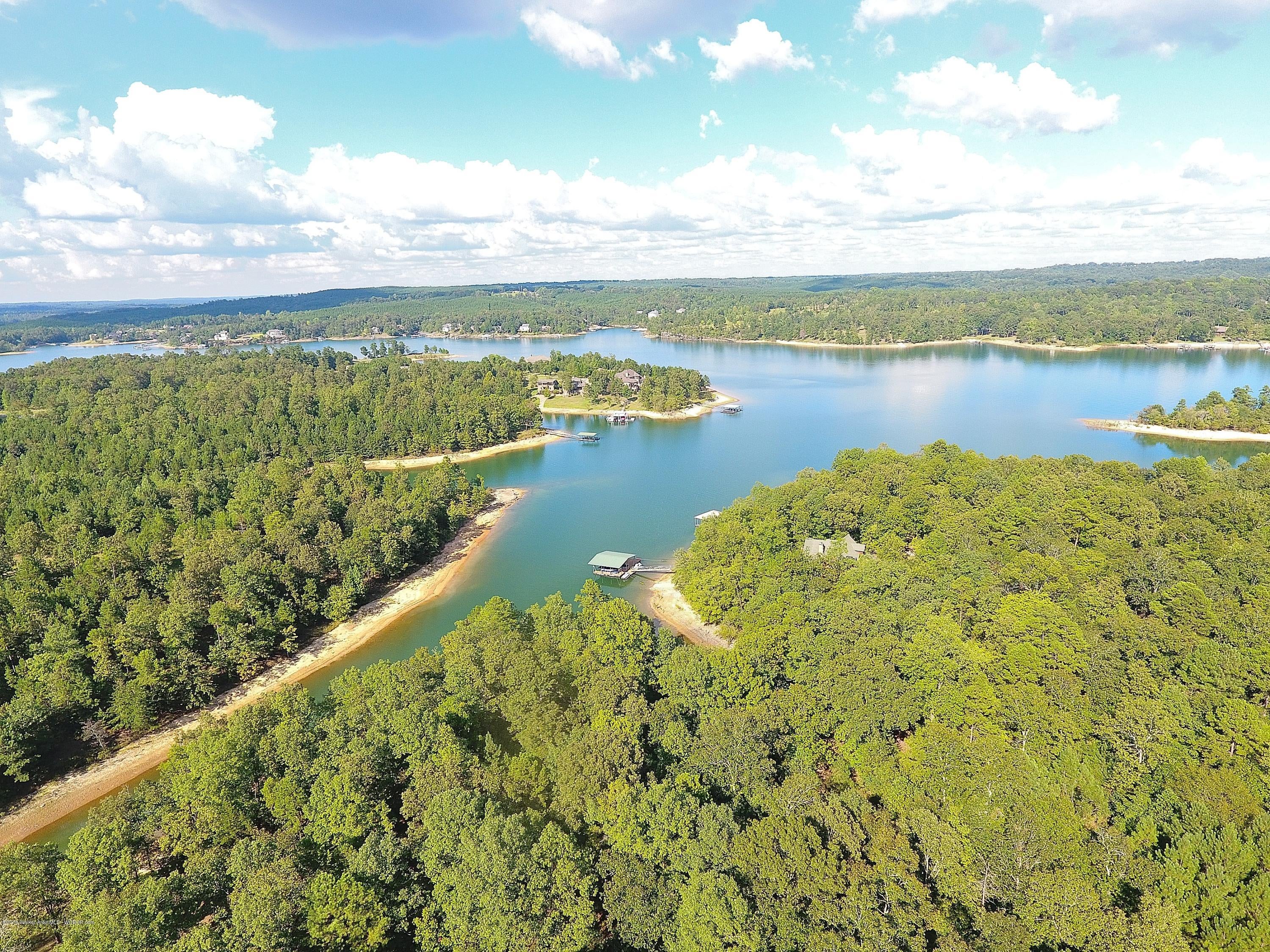Lot 96 Stoney Pointe Road Double Springs, AL 35553 - Photo 3 of 7 Gallery Image 3
