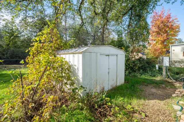 a backyard of a house with plants and large trees