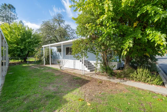 a view of house with backyard and a tree