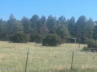 Tbd B Tbd B Porter Mountain Road Pinetop, AZ 85935 - Photo 2 of 2