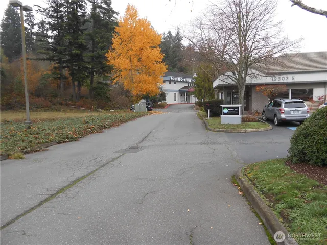 a view of a city street with a large tree