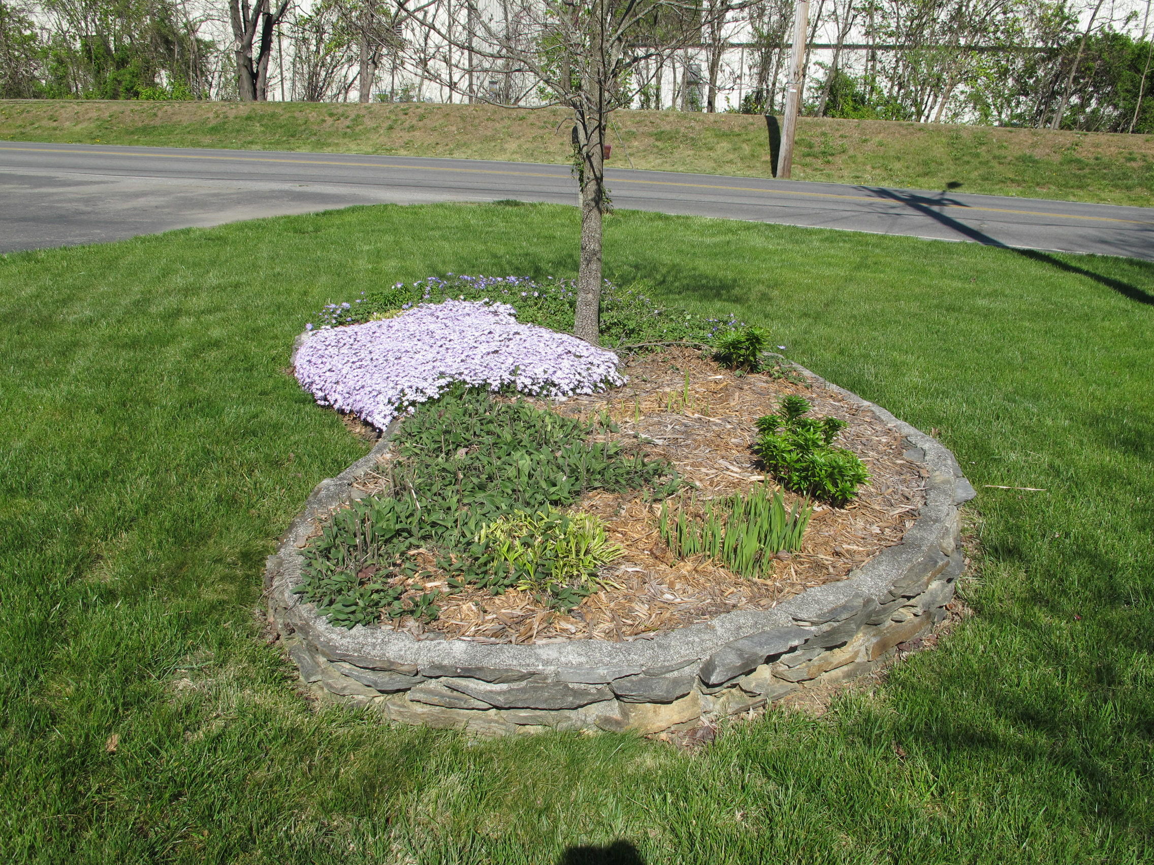619 Kessler Mill Road Salem, VA 24153 - Photo 24 of 33 IMG_5545