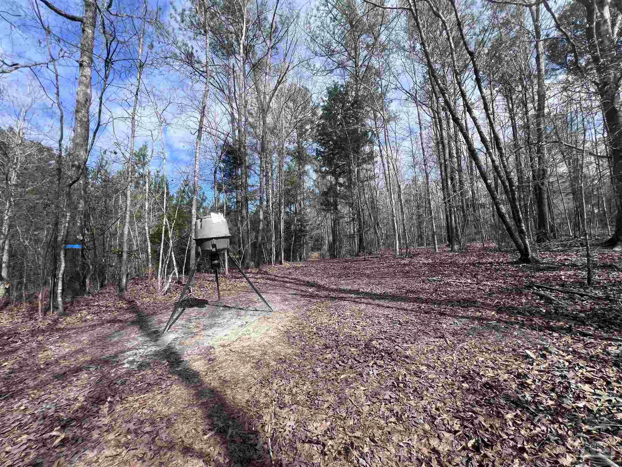 0 Mixonville Road McKenzie, AL 36456 - Photo 14 of 35 a view of backyard with green space