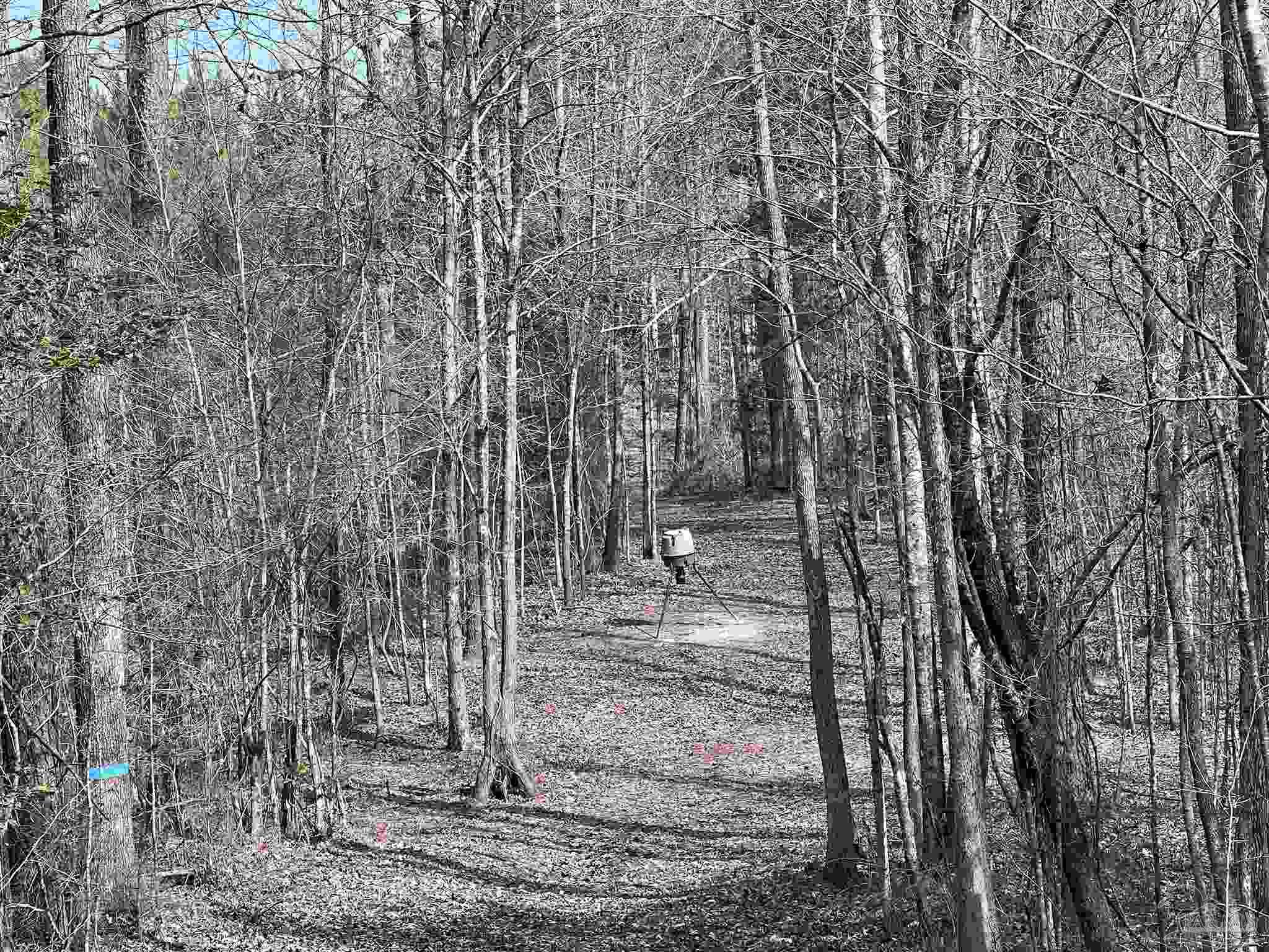 0 Mixonville Road McKenzie, AL 36456 - Photo 16 of 35 a view of a outdoor space