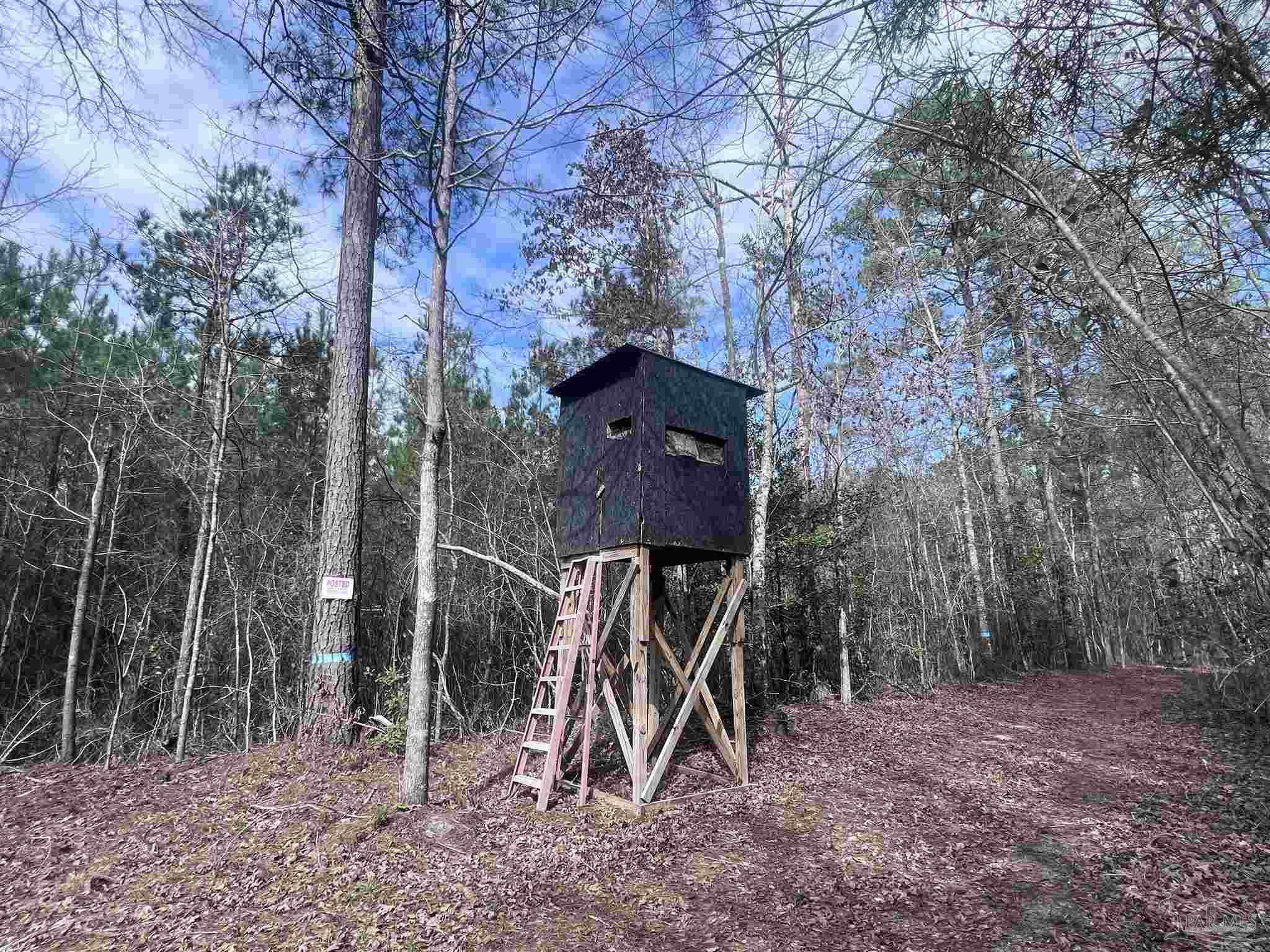 0 Mixonville Road McKenzie, AL 36456 - Photo 18 of 35 a flag is sitting in the middle of forest