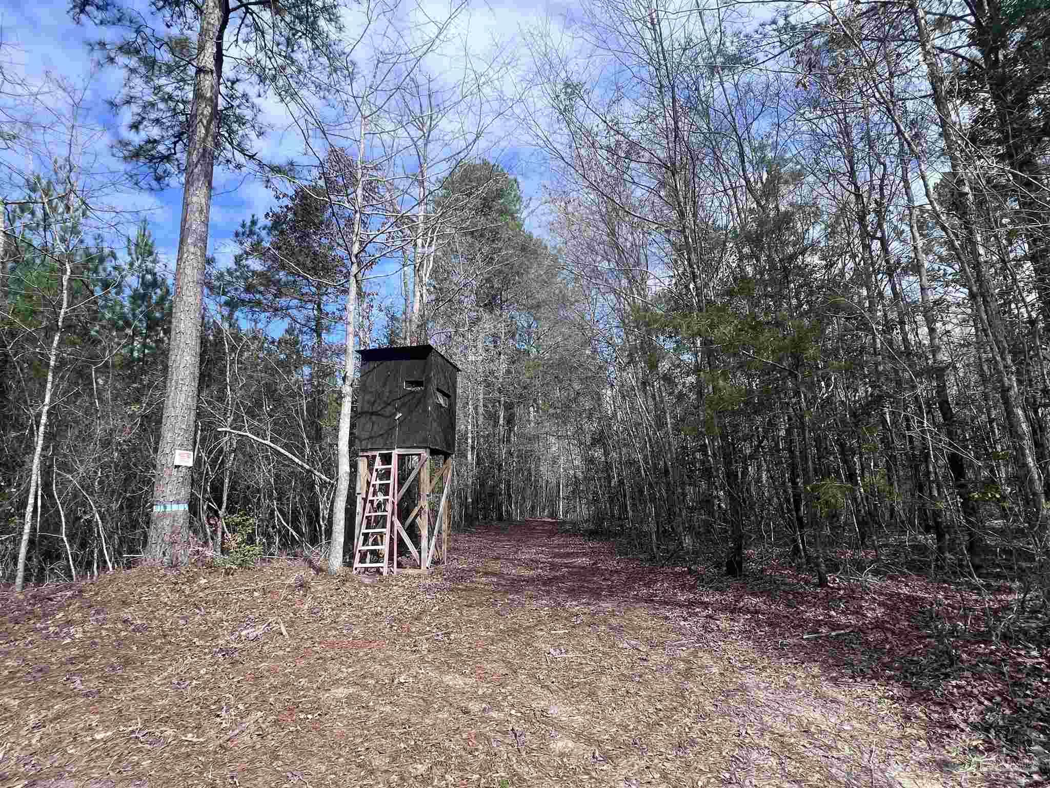 0 Mixonville Road McKenzie, AL 36456 - Photo 19 of 35 a front view of a house with a yard and garage