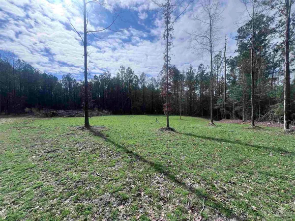 a view of a grassy field with trees in the background