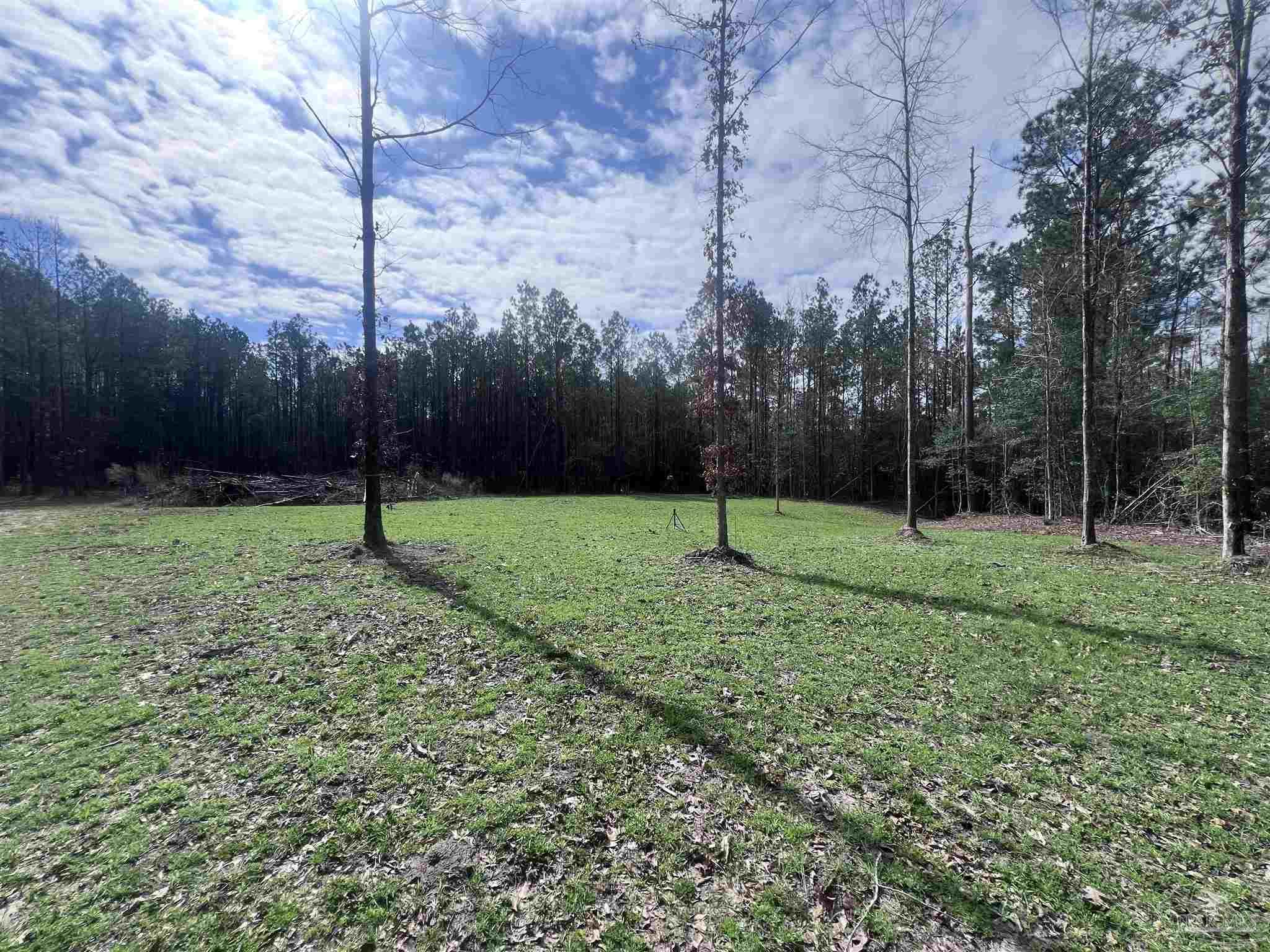 0 Mixonville Road McKenzie, AL 36456 - Photo 20 of 35 a view of a park