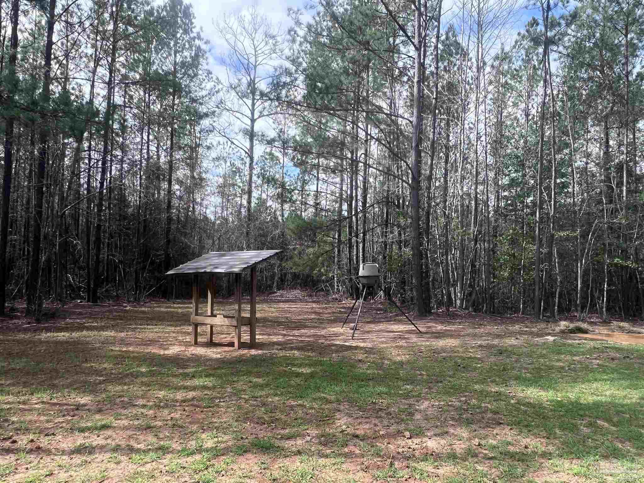 0 Mixonville Road McKenzie, AL 36456 - Photo 21 of 35 a view of a table and chairs under an umbrella