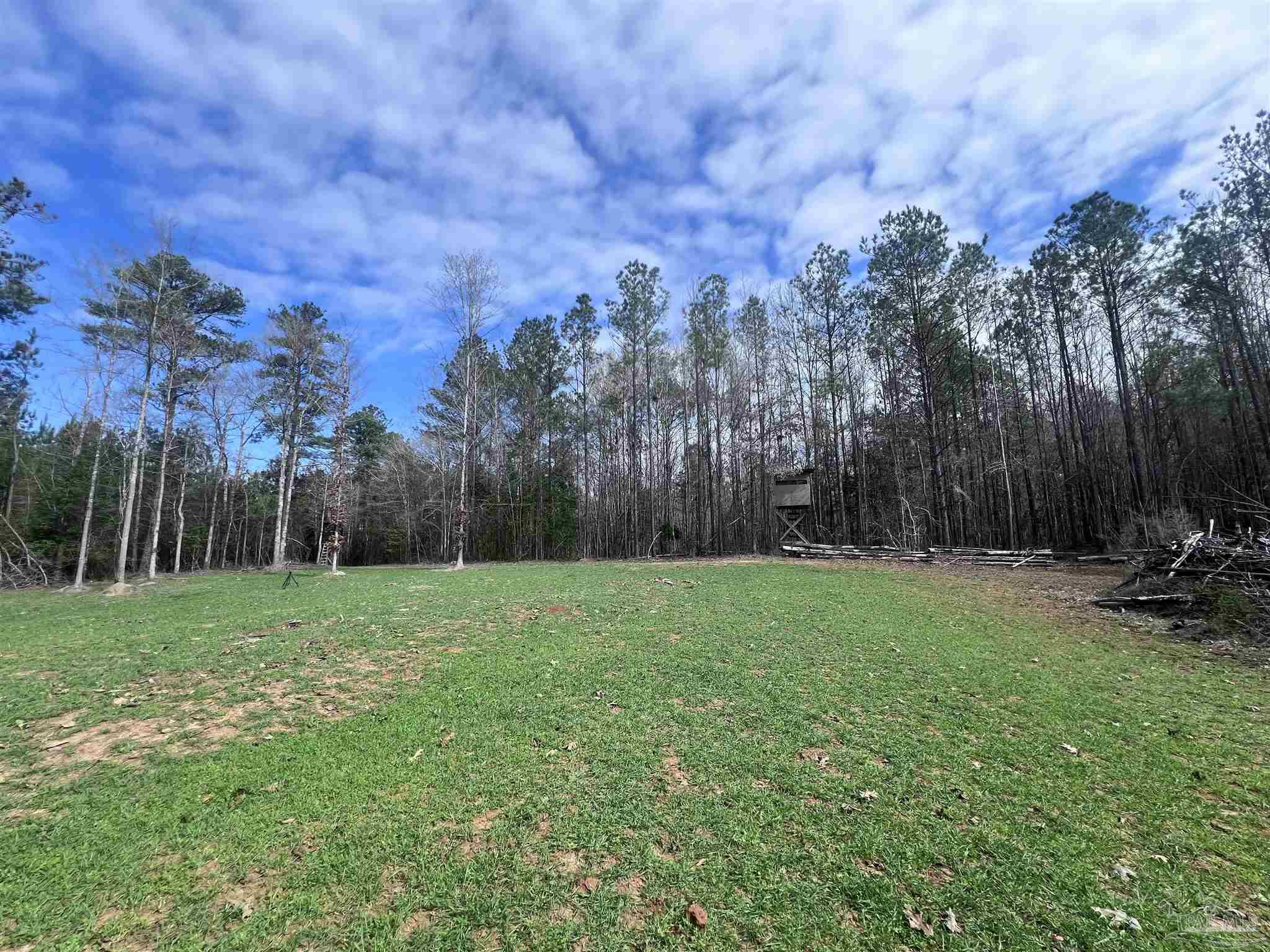0 Mixonville Road McKenzie, AL 36456 - Photo 22 of 35 a view of a grassy field with trees in the background