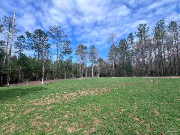 a view of outdoor space with trees