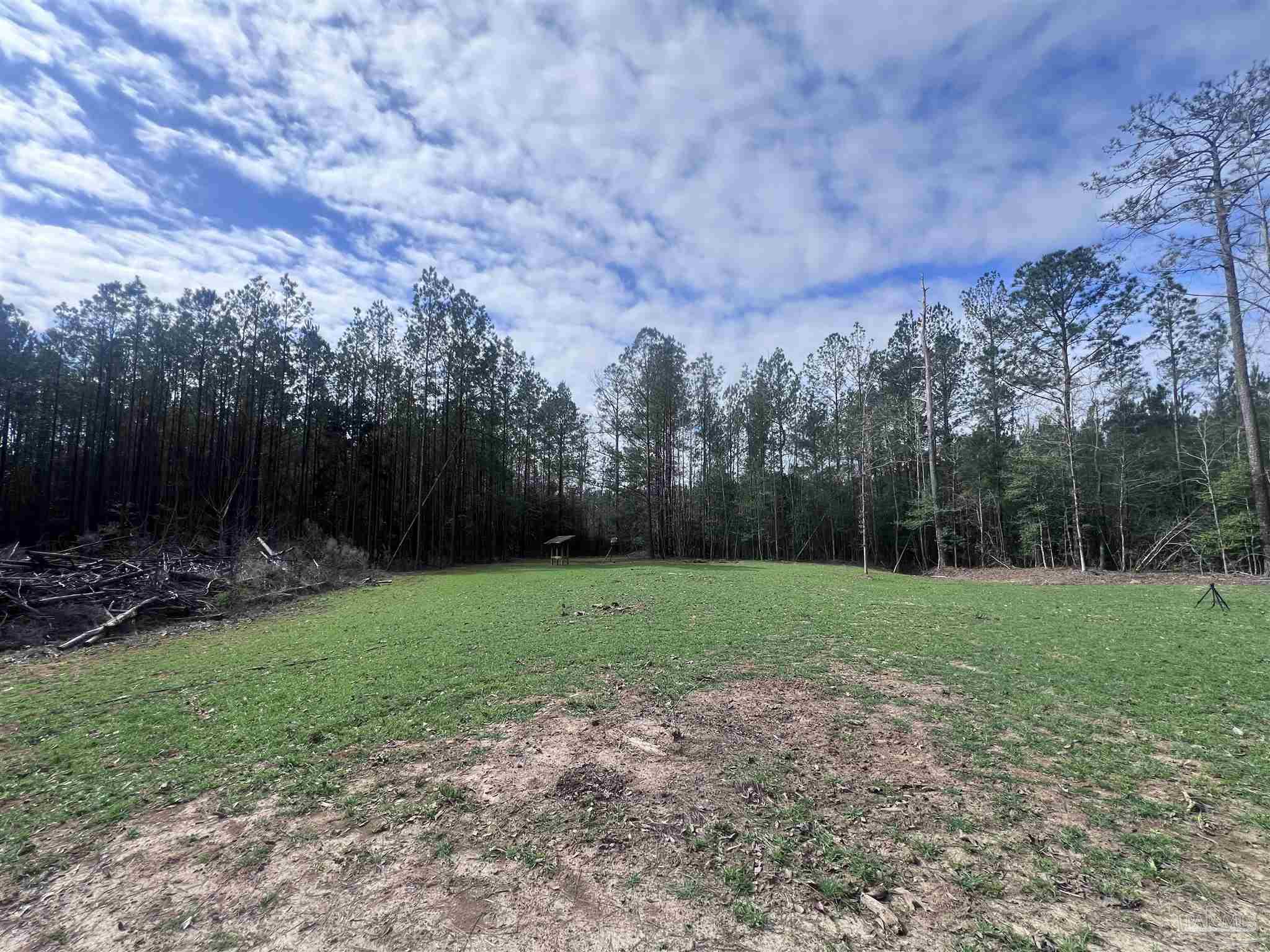 0 Mixonville Road McKenzie, AL 36456 - Photo 24 of 35 a view of a backyard with large trees