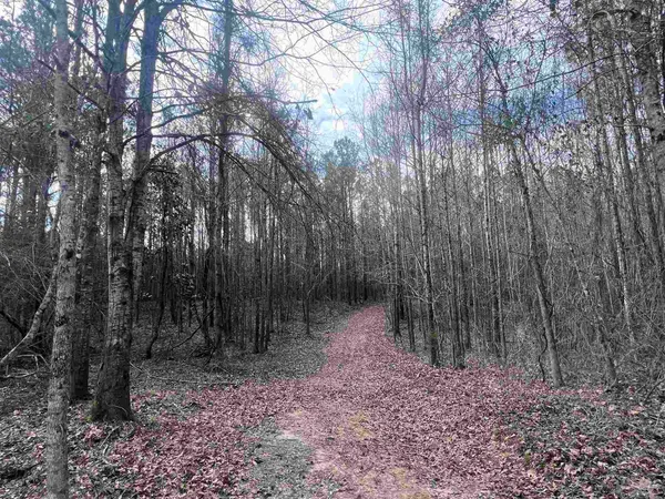 a view of backyard with green space