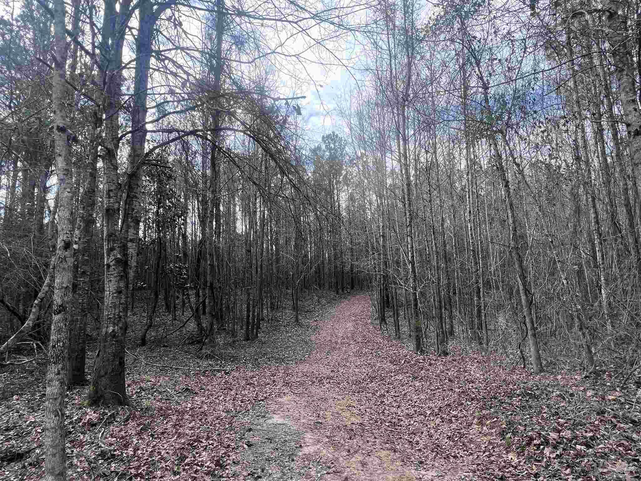 0 Mixonville Road McKenzie, AL 36456 - Photo 27 of 35 a backyard of a house with lots of green space