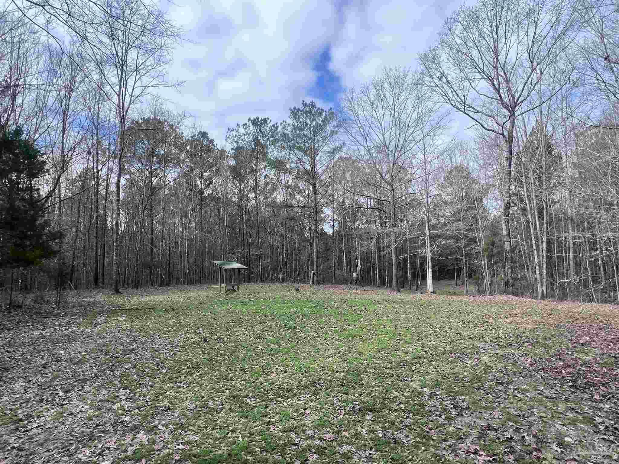 0 Mixonville Road McKenzie, AL 36456 - Photo 4 of 35 a backyard of a house with lots of green space