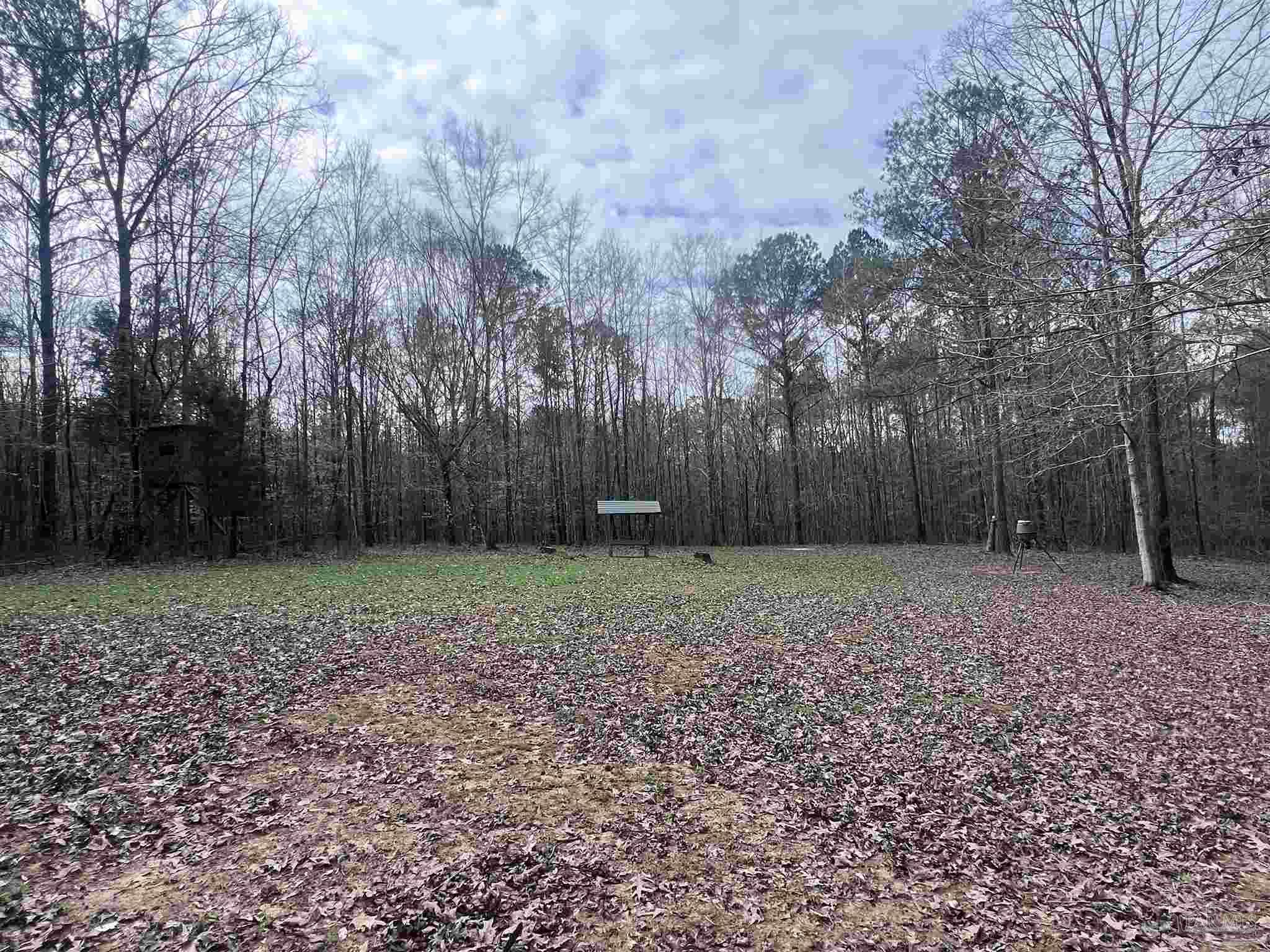 0 Mixonville Road McKenzie, AL 36456 - Photo 7 of 35 a backyard of a house with lots of green space