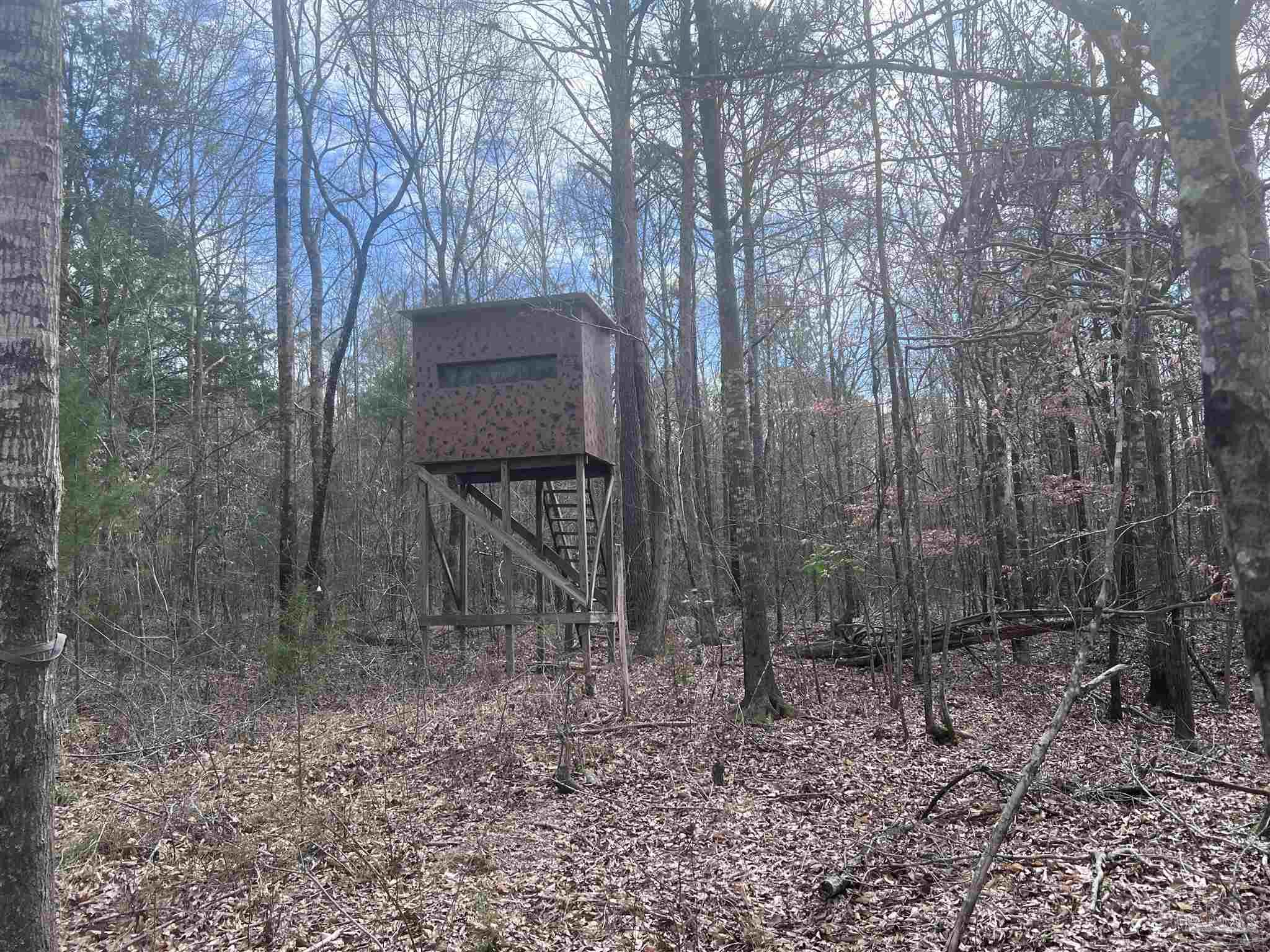 0 Mixonville Road McKenzie, AL 36456 - Photo 9 of 35 a backyard of a house with lots of green space