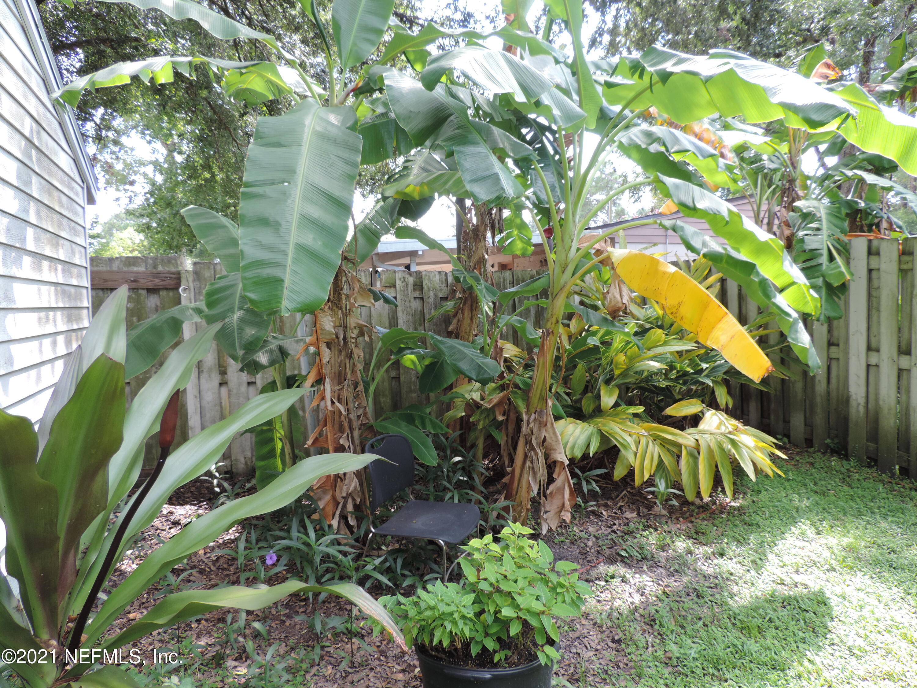 4253 Springwood Road Jacksonville, FL 32207 - Photo 13 of 16 a backyard of a house with lots of green space
