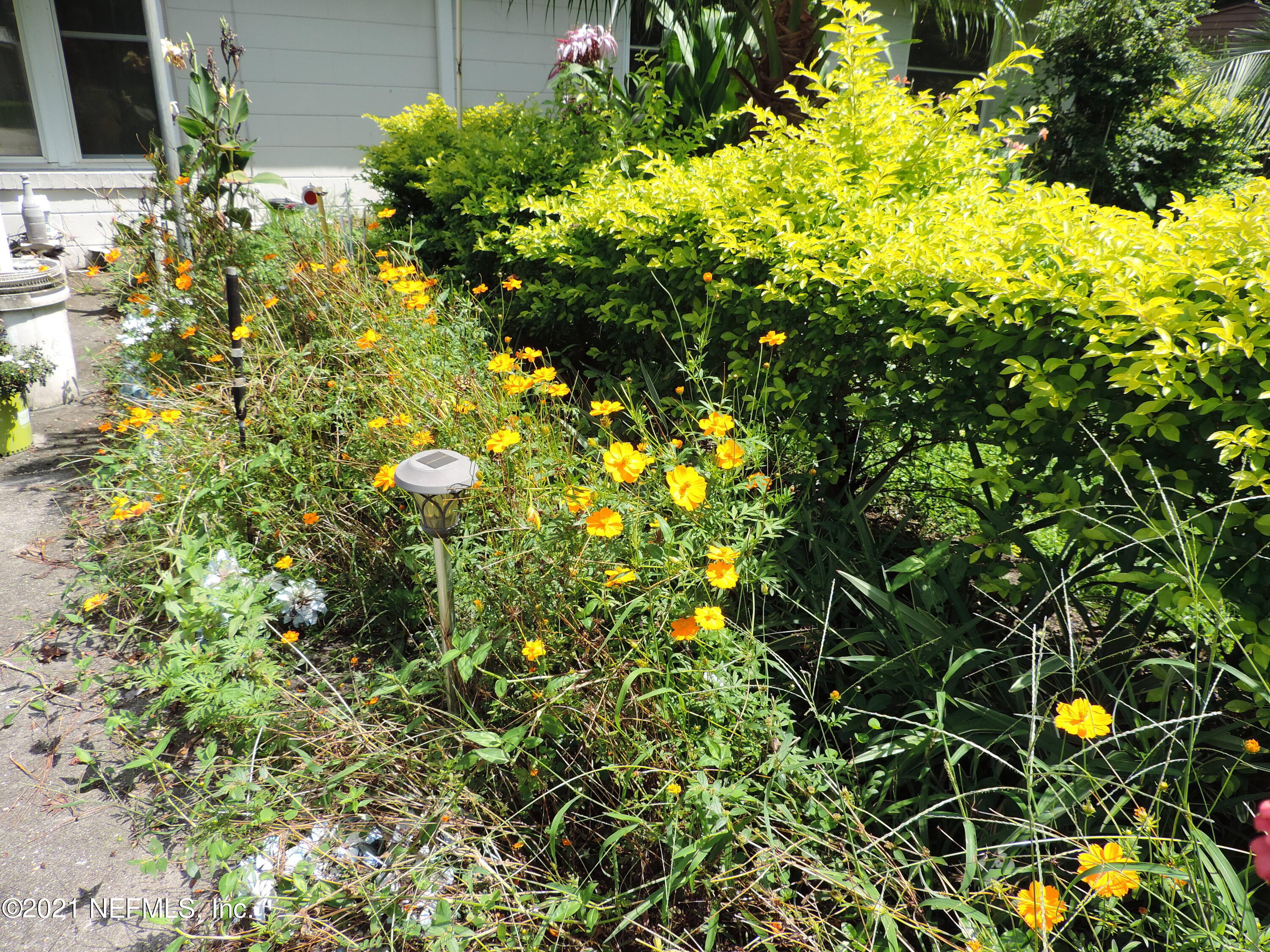4253 Springwood Road Jacksonville, FL 32207 - Photo 4 of 16 a view of plant