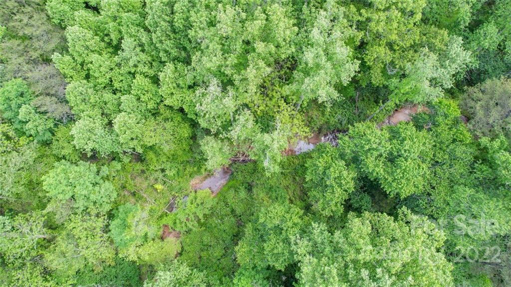 618 Goble Road Hiddenite, NC 28636 - Photo 46 of 46 a view of a lush green forest