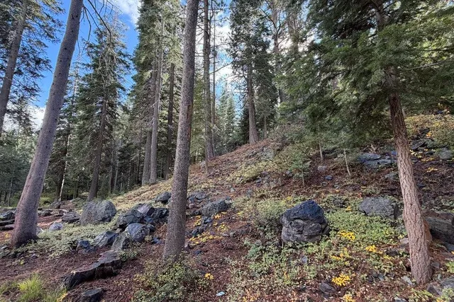 $583,000 | 16465 Northwoods Boulevard, Truckee, CA 96161