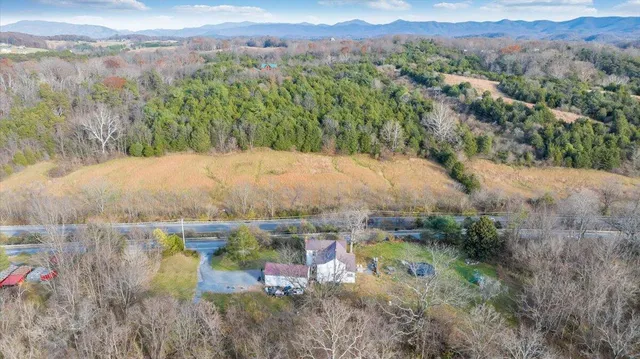 a view of a forest with a forest