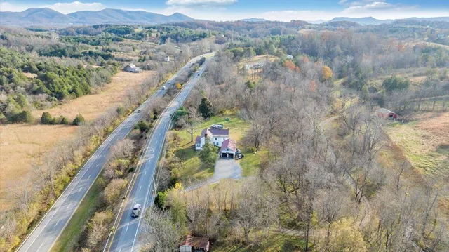 a view of a forest with a mountain