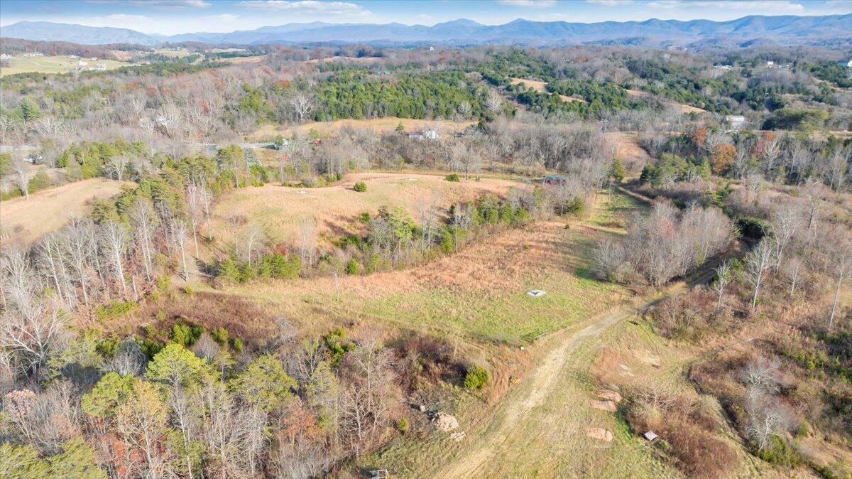 6457 Roanoke Road Fincastle, VA 24090 - Photo 18 of 34 a view of a yard with a mountain
