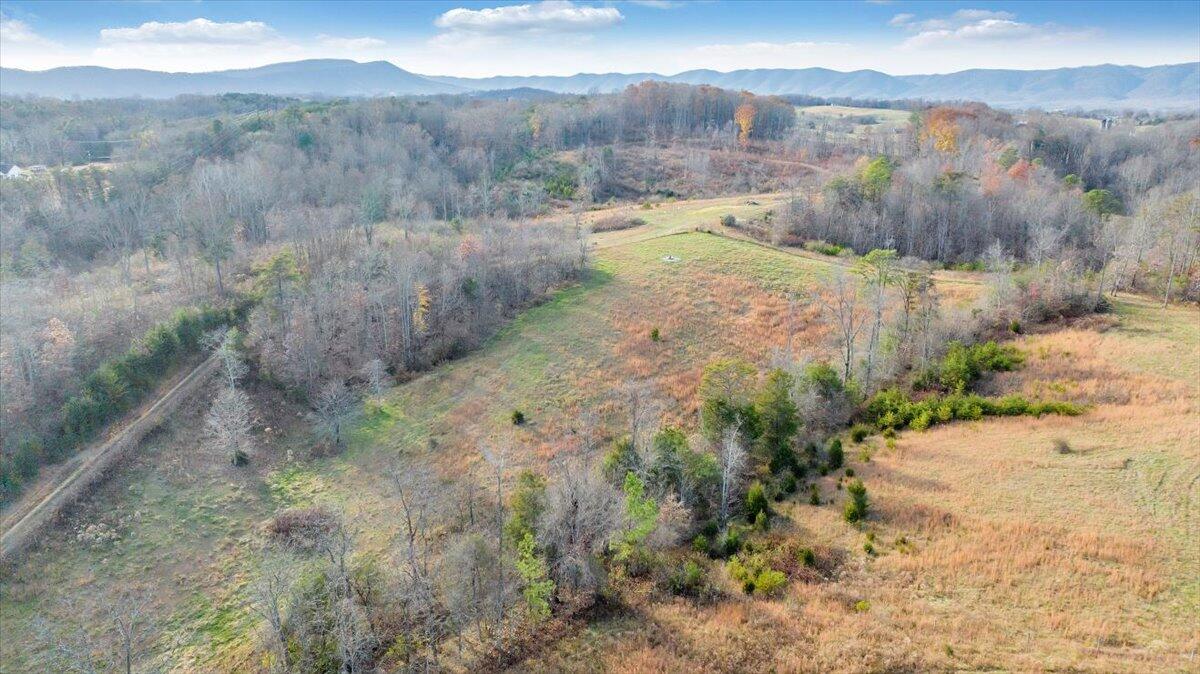 6457 Roanoke Road Fincastle, VA 24090 - Photo 28 of 34 a view of a dry yard with green space