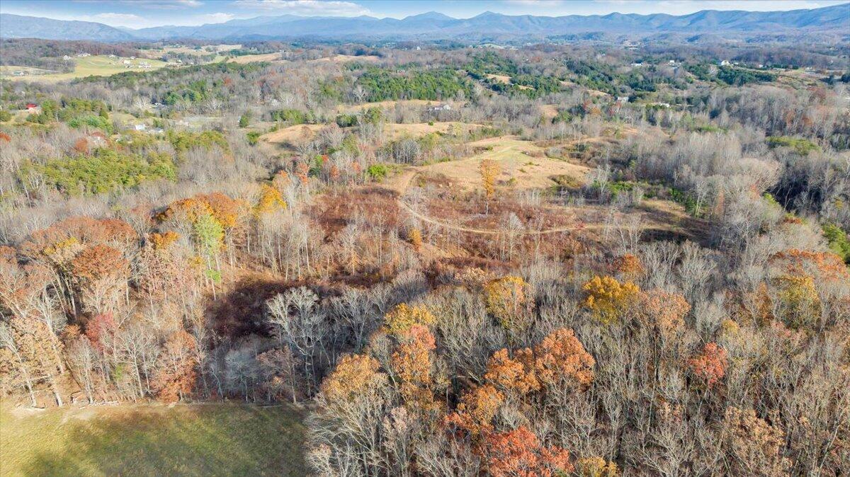 6457 Roanoke Road Fincastle, VA 24090 - Photo 29 of 34