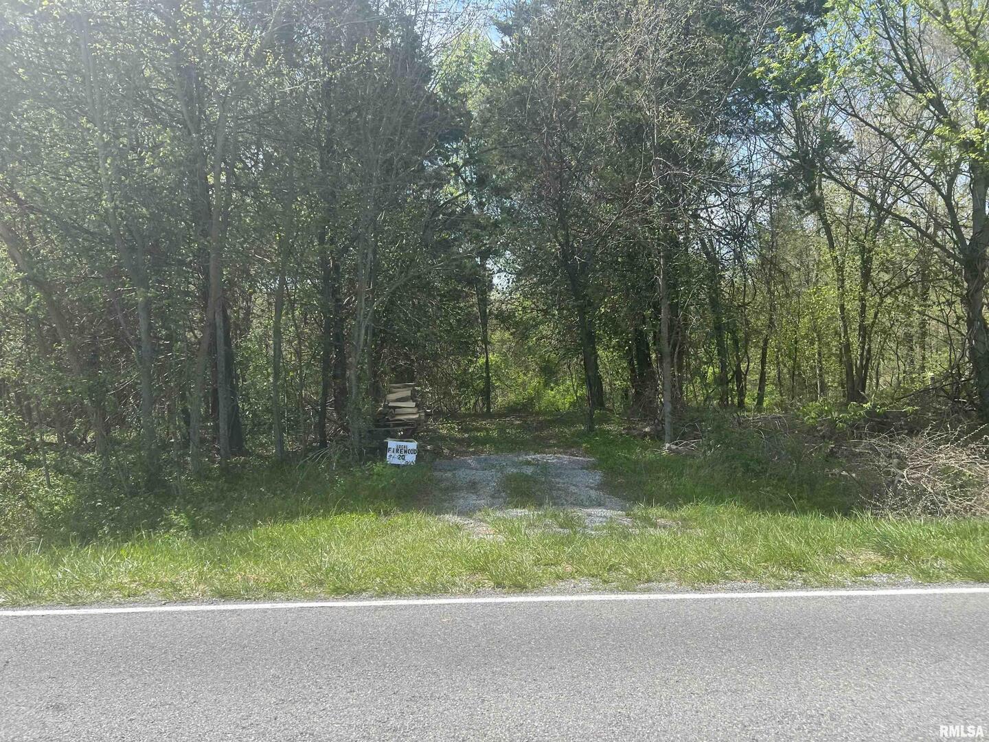 1 Grassy Road Carbondale, IL 62902 - Photo 3 of 5