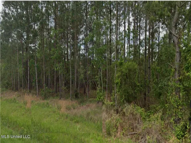 $18,000 | Cardinal Street, Bay St. Louis, MS 39520