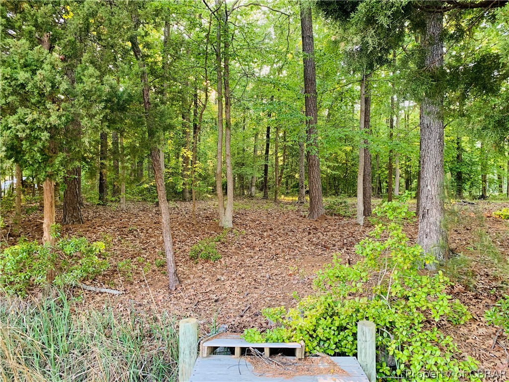 0 Sloop Creek Rd Port Port Haywood, VA 23138 - Photo 15 of 19