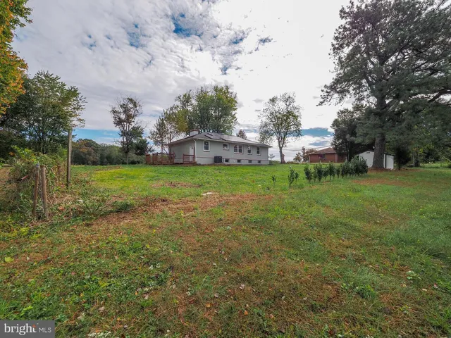 a view of a big yard with plants and large trees