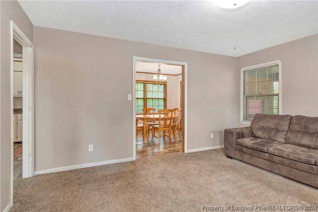 527 Old Allenton Road Lumberton, NC 28358 - Photo 4 of 20