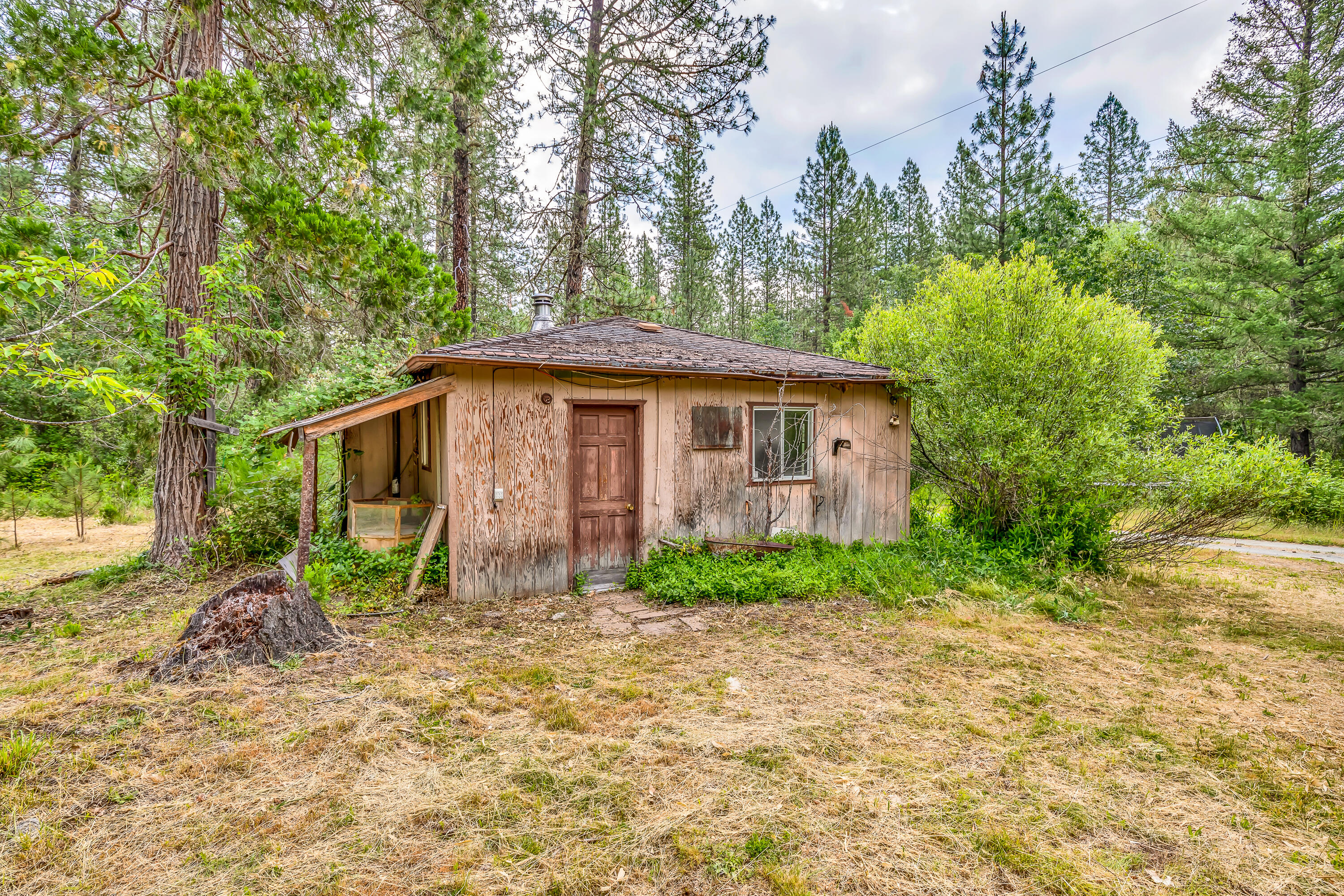 640 Minthorne Road Rogue River, OR 97537 - Photo 11 of 28 9R9A7189
