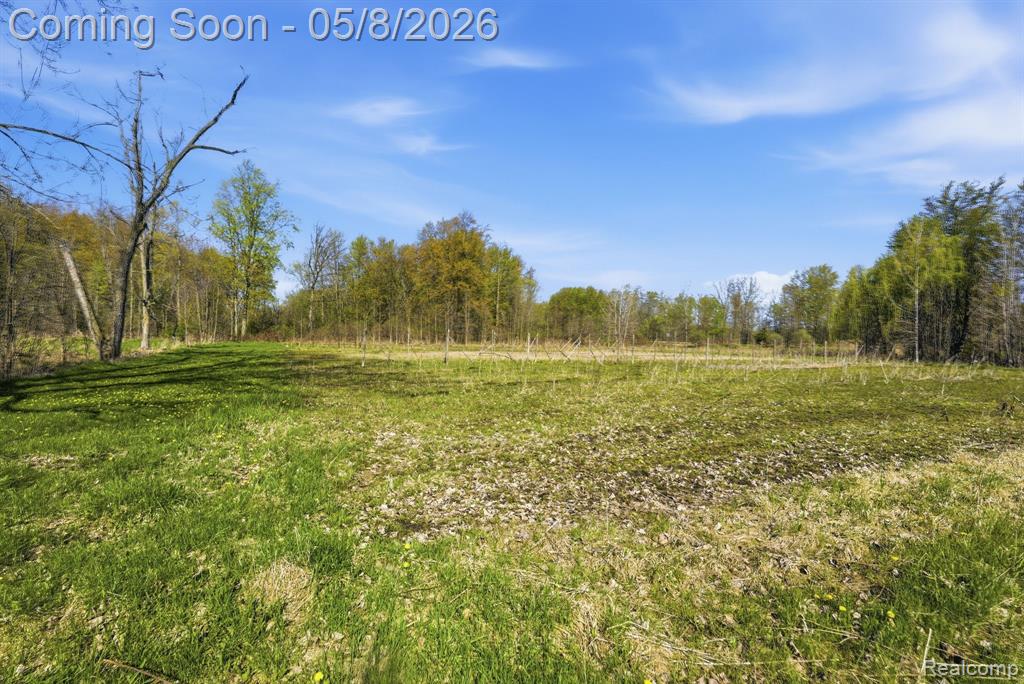 2905 South Plain Road Caro, MI 48723 - Photo 49 of 50