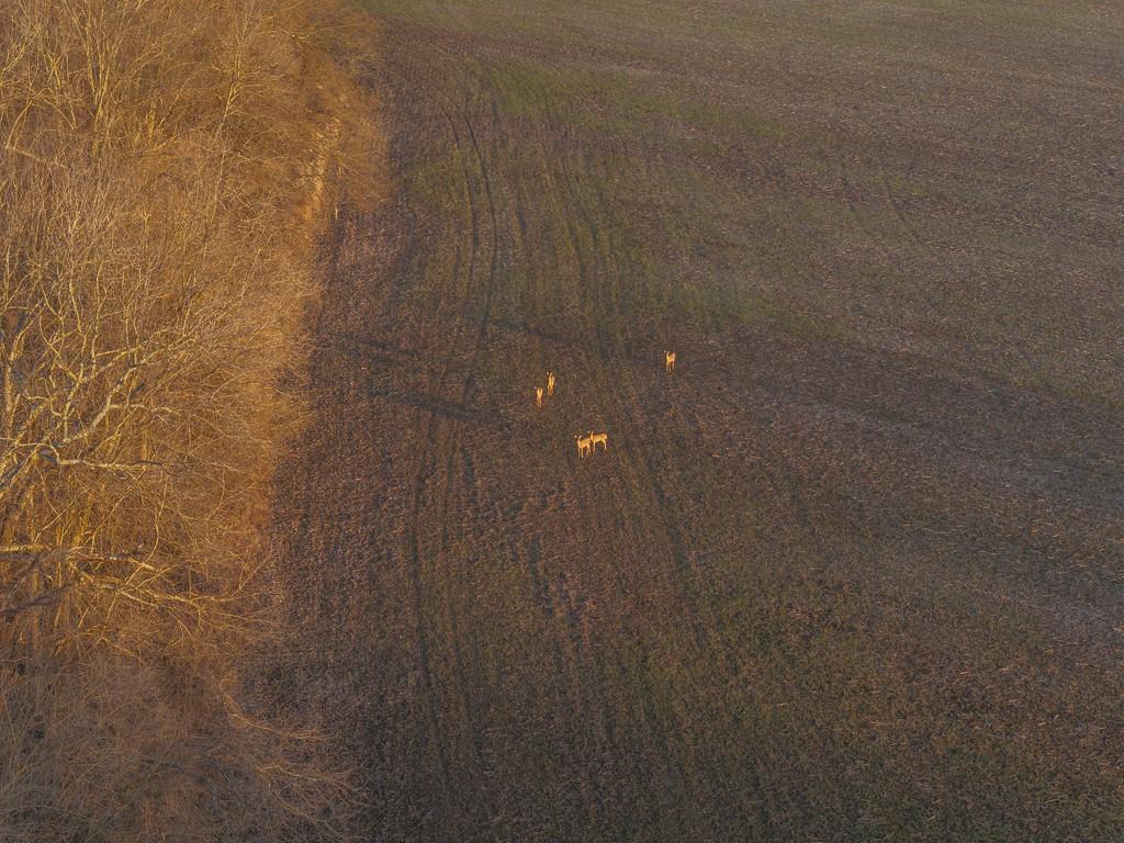 0 Green Road Sedalia, MO 65301 - Photo 15 of 79